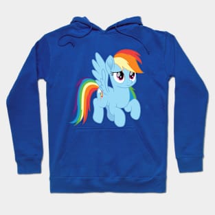 Rainbow Dash Hoodie